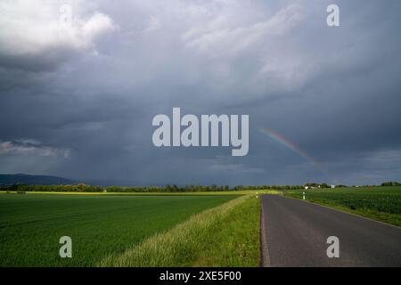 Summer landscape. Road among green fields. Trees and houses on the horizon. Gray stormy sky. Bright rainbow. Before rain and thunderstorm. Germany. Ru Stock Photo