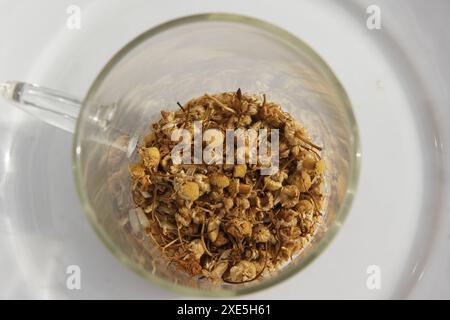 Matricaria chamomilla, chamomile Stock Photo
