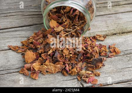 Rosa, dried flowers Stock Photo