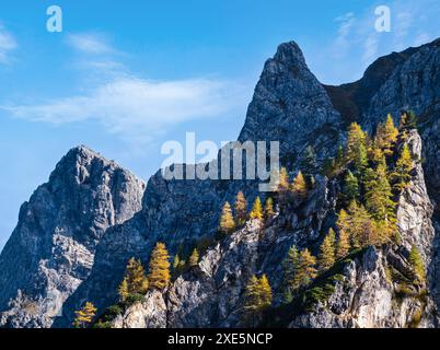 Autumn Alps rocky mountain tops view from hiking path, Kleinarl, Land Salzburg, Austria. Stock Photo