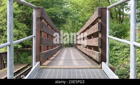 Perspective with a view of the walkway and a bridge with a wooden and metal structure and surrounded by greenery. Stock Photo