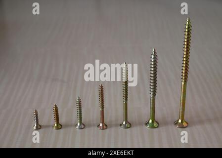 Chipboard screws, wood screws, Torx, various sizes, one set of screws Stock Photo