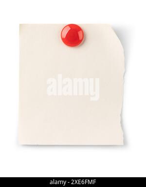 Empty paper sheet and magnet Stock Photo