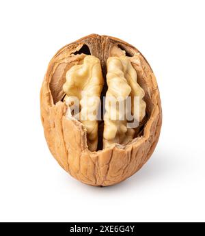 Walnut on white background Stock Photo