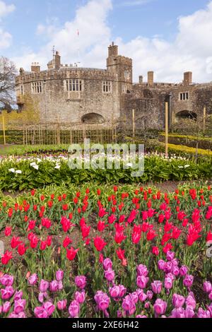 England, Kent, Deal, Walmer Castle and Tulips Stock Photo