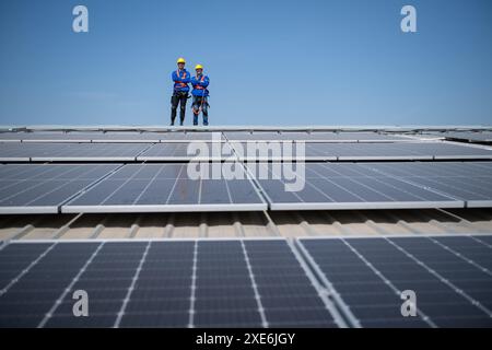 Portrait of two engineers working on a photovoltaic solar panels, Standing with their arms crossed Stock Photo