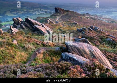 Ramshaw Rocks and purple heather moorland in summer, near Leek, Peak District National Park, Staffordshire Moorlands, Staffordshire, England, United K Stock Photo