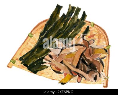 Illustration of kelp and shavings in a colander painted with ...