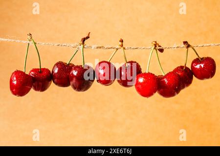 Pairs of ripe juicy cherries strung on twine string. Stock Photo