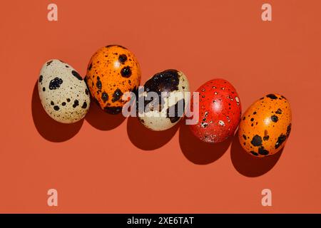 Easter composition of quail eggs and grass on a red brick background. Stock Photo