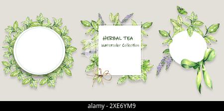 Herbal Tea Theme Set. Round and Square Wreath Frames made from Bright Fresh Mint Sprigs. Watercolor illustration. For Design Blogs, Websites, Packagin Stock Photo