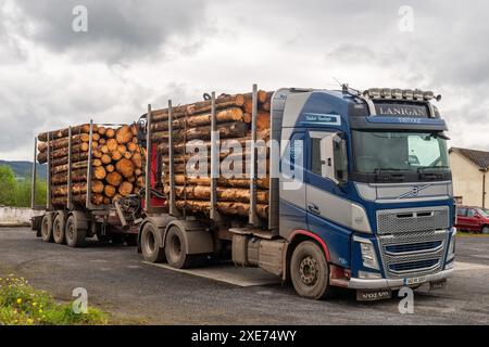 Timber lorry loaded with felled trees in Piltown, Co. Kilkenny, Ireland.. Stock Photo