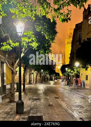 View of the the Giralda (Bell Tower) of the Roman Catholic Cathedral of Saint Mary of the See (Seville Cathedral) at night, Seville, Andalusia, Spain Stock Photo