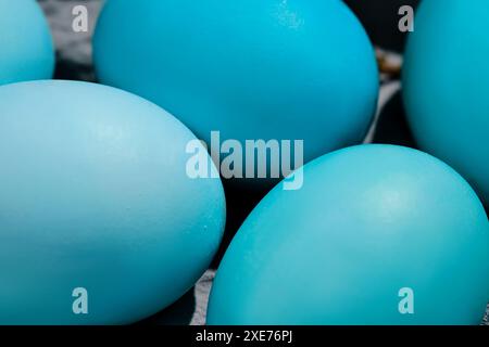 Easter composition in blue shades. Painted eggs on a blue background. Stock Photo