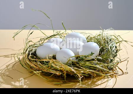 Farm natural white eggs in a nest of grass. Stock Photo