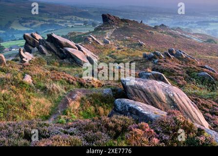 Ramshaw Rocks and purple heather moorland in summer, near Leek, Peak District National Park, Staffordshire Moorlands, Staffordshire, England Stock Photo