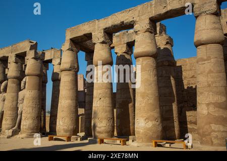 Papyrus Columns, Courtyard of Rameses II, Luxor Temple, UNESCO World Heritage Site, Luxor, Egypt, North Africa, Africa Stock Photo