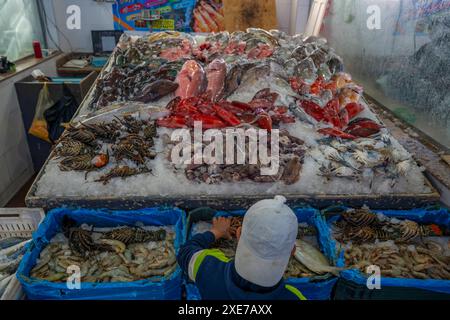 View of fish stall in Hurghada Fish Market, Hurghada, Red Sea Governorate, Egypt, North Africa, Africa Copyright: FrankxFell 844-34255 Stock Photo