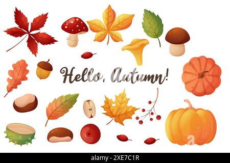 A set of autumn elements. Leaves, mushrooms, chestnuts and pumpkins. Isolated on a white. Stock Vector