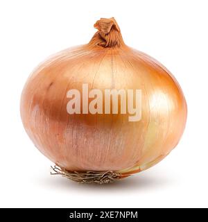 Onion isolated on white background with clipping path and full depth of field Stock Photo