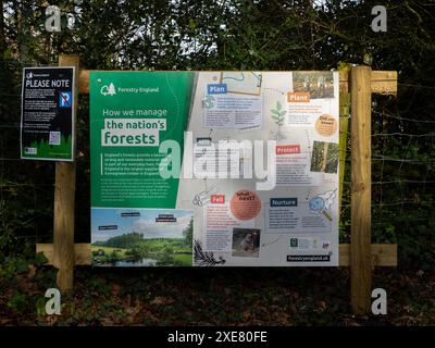 Forestry England info board in Wareham Forest, Dorset, UK Stock Photo