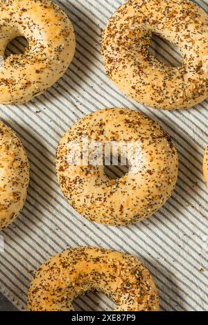 Baked Homemade Everything Bagels with Garlic Sesame and Poppyseed Stock Photo