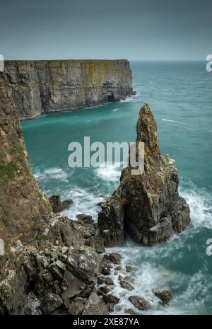 Stackpole Cliffs Spring The Pembrokeshire Coast National Park at Stackpole Quay, Pembrokeshire ...