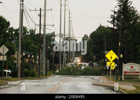 BLOOMINGTON, INDIANA - JUNE 25: Tree blocking West 8th Street. Storm ...