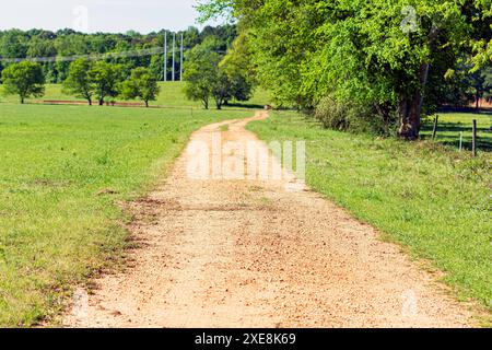 Red dirt road through a green pasture in April in central Alabama. Stock Photo