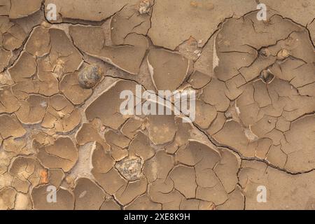 A thin layer of mud cracks and curls as it dries Stock Photo
