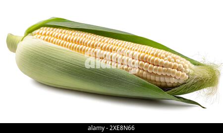 Fresh corn on the cob isolated on white background. Clipping Path Stock Photo