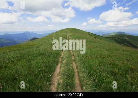 Ostredok, Velka Fatra, Slovakia. Path, pathway and footpath to the top and summit of hill and mountain. Summer with clouds in the sky. Stock Photo