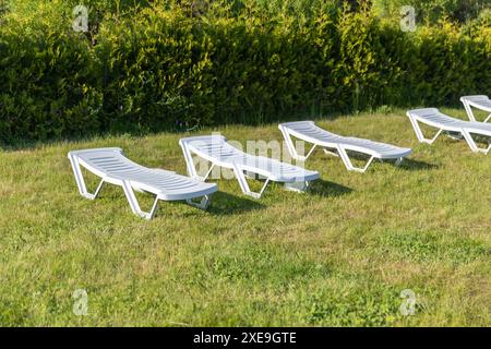 White plastic sun loungers stand in a row on green grass on a on a sunny day Stock Photo