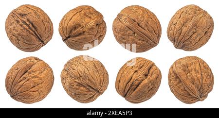 Whole walnuts isolated on white background, collection Stock Photo