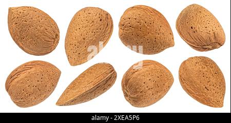 Almond nuts in shell isolated on white background Stock Photo