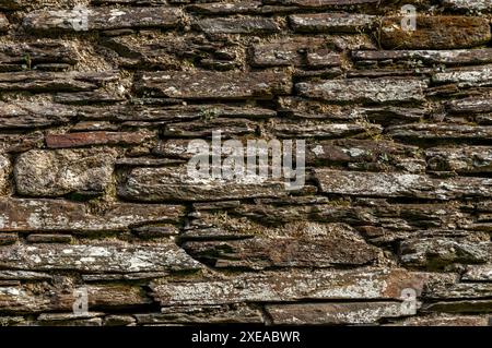 Stone wall with green moss Stock Photo