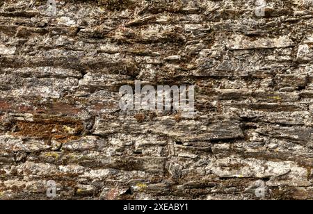 Stone wall with green moss Stock Photo