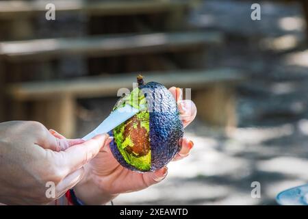 Opening, peeling, splitting and preparing a dressing with avocado. Stock Photo