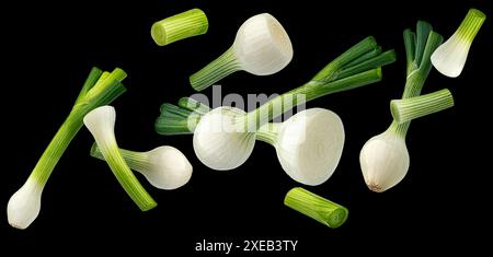 Green onion slices isolated on black background Stock Photo
