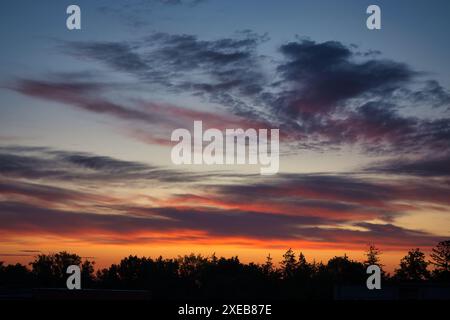 The sun is setting in the sky, casting a golden orange and pink hue upon the clouds, the silhouettes of trees stand out against the light Stock Photo
