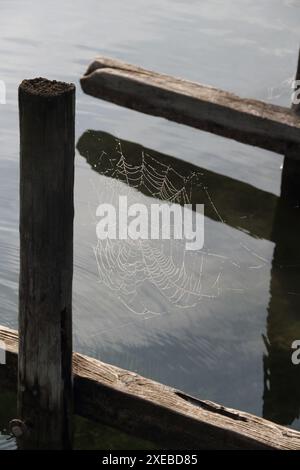 A Spider web with dew drops from morning fog Stock Photo