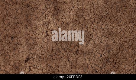 Dry cracked soil during drought Stock Photo