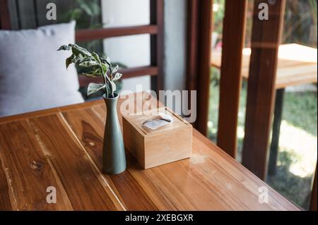 Wooden tissue box with plant in ceramic vase on wood table in living room Stock Photo