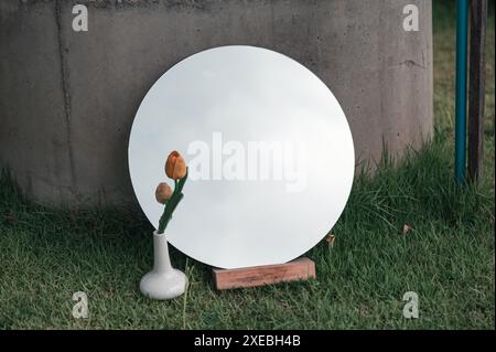 Round mirror and yellow flower in white ceramic vase on lawn. Minimalist decoration Stock Photo