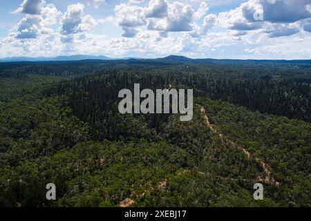 Aerial view of a road passing through the Goodnight Scrub National Park  Queensland, Australia. The road cuts through a lush landscape filled with den Stock Photo