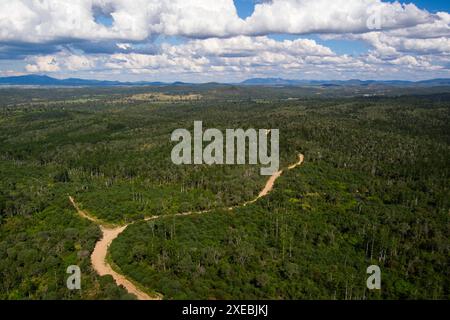 Aerial view of a road passing through the Goodnight Scrub National Park  Queensland, Australia. The road cuts through a lush landscape filled with den Stock Photo