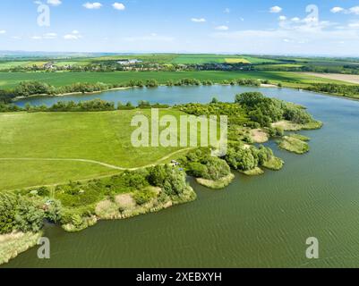 Lake with green meadow and forest from drone Stock Photo