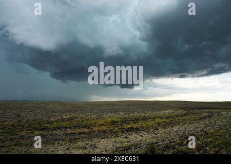 Rotating wall cloud of a developing tornado in Alberta, Canada. Stock Photo
