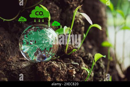 A glass sphere with world map on it. Spheres set on a wooden floor with various icons and symbols. Scene is one of environmental awareness and concern Stock Photo