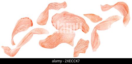 Red pickled ginger slices isolated on white background Stock Photo